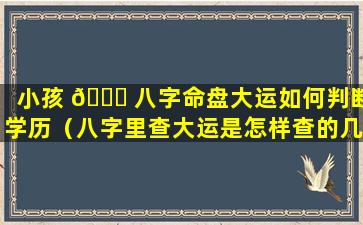 小孩 🐟 八字命盘大运如何判断学历（八字里查大运是怎样查的几岁起运）